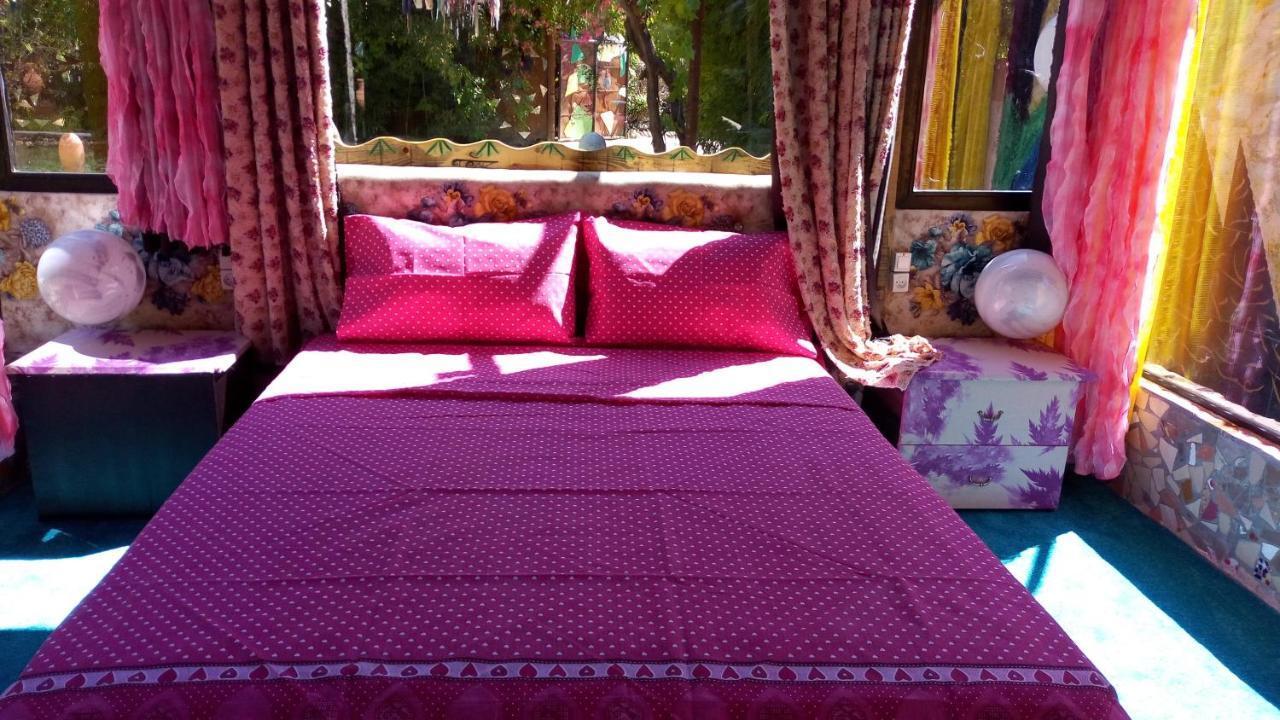 Maison D'Hotes Ait Bou Izryane Timoulilt 외부 사진
